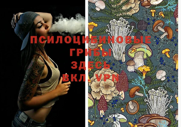 амфетамин Алексеевка