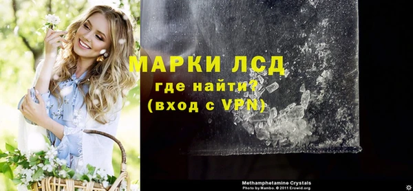 эйфоретик Алзамай