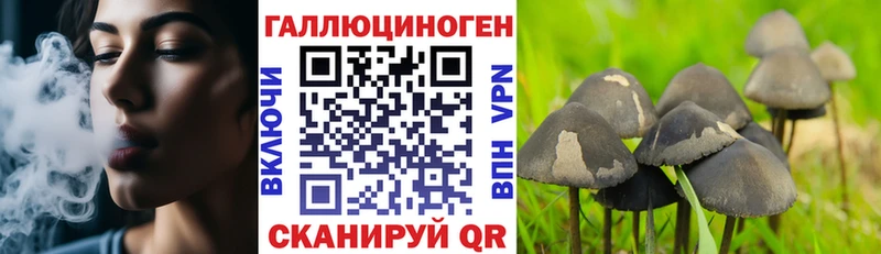 Галлюциногенные грибы прущие грибы  купить закладку  Малаховка 